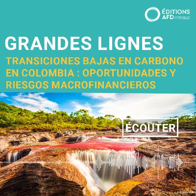 Transiciones bajas en carbono en Colombia: oportunidades y riesgos macrofinancieros
