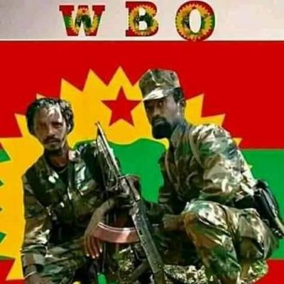 Waggaa lama dura bara 2018 kan barreeffame, Haala Amma Keessa Jirru kan Raagee!!