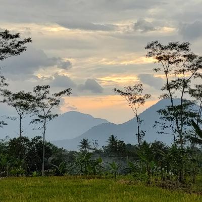 Kutipan buku