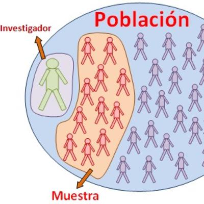 Técnicas de Investigación: Muestra