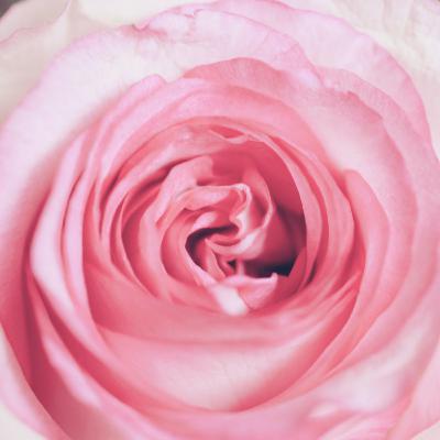 21天豐盛冥想:Day 3 21天豐盛冥想:Day 3