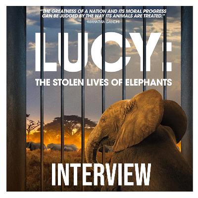 Lucy: The Stolen Lives of Elephants | Interview: Fern Levitt