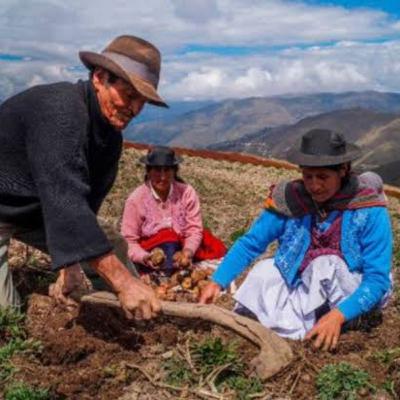 DÍA DEL CAMPESINO