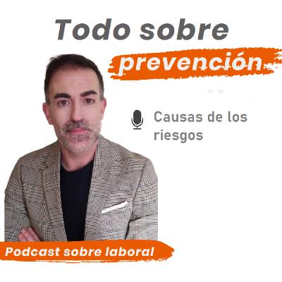 16. Causas de los riesgos 16. Causas de los riesgos