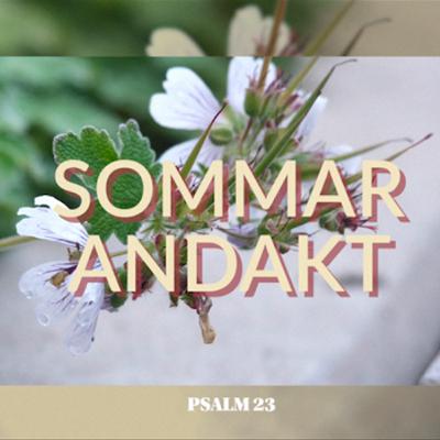 Sommarandakt - Psalm23:5