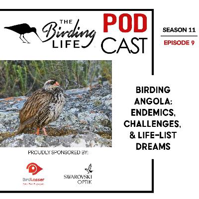 TBL Podcast Season 11 Episode 9 - Birding Angola: Endemics, Challenges, and Life-List Dreams