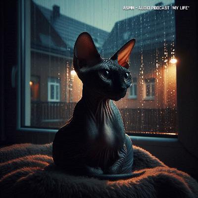 ASMR - Весенний дождь через открытое окно и звук дороги