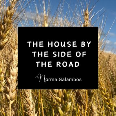 The House By The Side of The Road - Written and Recorded by Norma Galambos