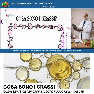 #080-26 COSA SONO I GRASSI