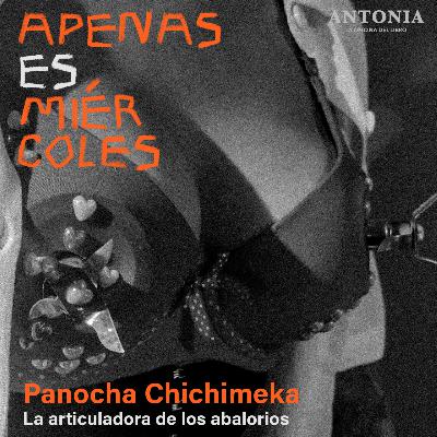 Panocha Chichimeka - La articuladora de los abalorios Panocha Chichimeka - La articuladora de los abalorios