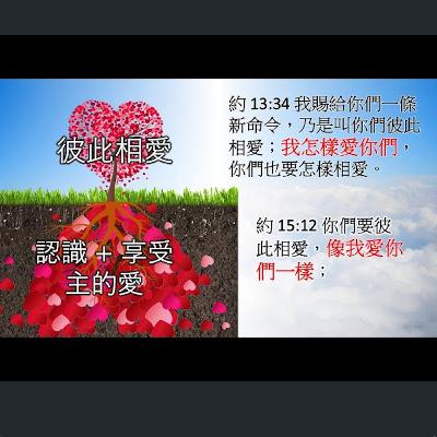 [伯明翰信息] 該當怎樣敬虔(3) -切實彼此相愛