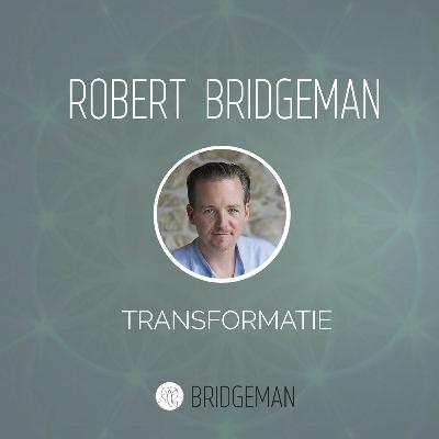 Wat is Transformatie? Wat is Transformatie?