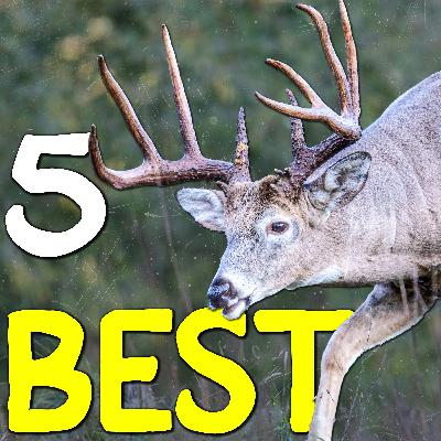 744 - 5 Deer Hunting Tips That Actually Make You More Successful