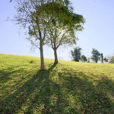 Genesis 1:1, 2:2, Psalm 23:2 - God wants us to rest