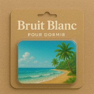 1H Bruit Blanc pour DORMIR | Une balade les pieds au bord de l'océan | ASMR