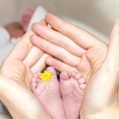 女性专属选择题：冻卵、选精、代孕、剖腹产... ~ 五洲行话