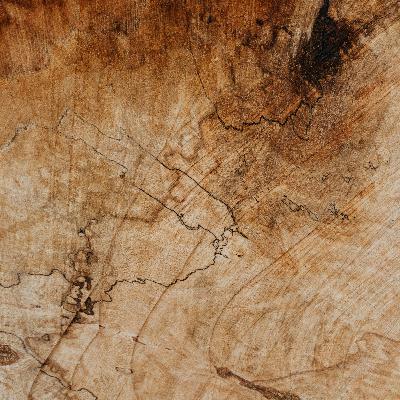 Episode 28 - Creating a culture of smart manufacturing for wood products in Australia