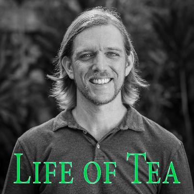 Tea Wayfaring 02 Andy Taylor