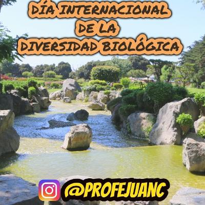 Episodio 4. DÍa Internacional de la Diversidad Biológica