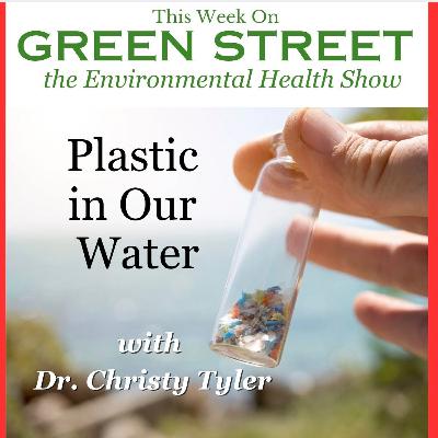 Plastic in Our Water with Dr. Christy Tyler