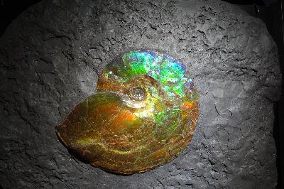 Episode 164: Strickend durch die zweite Welle