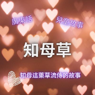 EP40 知母草