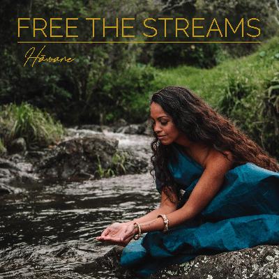 The story behind Free The Streams