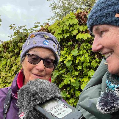 Birding in Bath