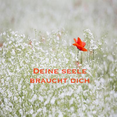 Deine Seele braucht dich I LICHTBLICKE Impuls #9