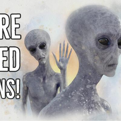 Are We An Extraterrestrial Scientific Experiment