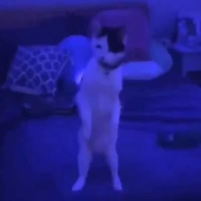 intro