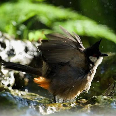 Vol.10 对话李辛 油麻菜：去做自己喜欢的事