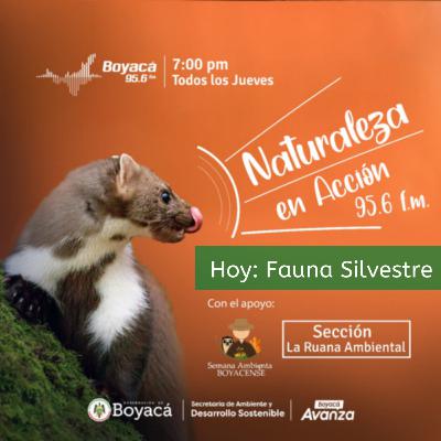 T2-Ep 4 - Hablemos de la Política Pública de Protección y Bienestar Animal del departamento de Boyacá