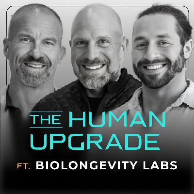 Why I Inject a “Female Hormone” 3x a Week (Nootropic Hacking)  : 1311