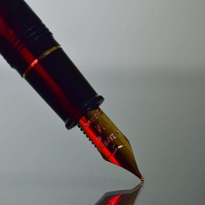 THE POETS PEN( The poem)