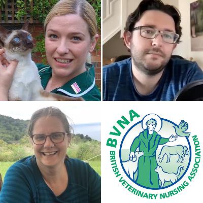 Ep 31: Alex Taylor and Charlotte Pace on resilience, empowerment and BVNA Congress Ep 31: Alex Taylor and Charlotte Pace on resilience, empowerment and BVNA Congress