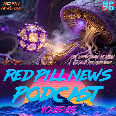 The Importance of NOW with Patty Greer on Red Pill News Live The Importance of NOW with Patty Greer on Red Pill News Live