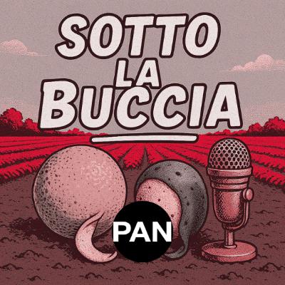Arance 2025: Tra Qualità e Guerra dei Prezzi - CompraVendita PAN n. 21