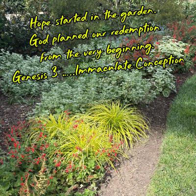 Promised Hope and a Pure Beginning