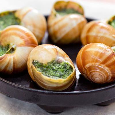Comidas exóticas alrededor del mundo