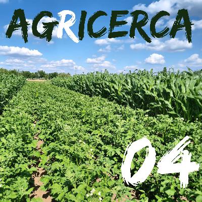 04 - Satelliti ed agricoltura digitale con Paolo dal Lago 04 - Satelliti ed agricoltura digitale con Paolo dal Lago