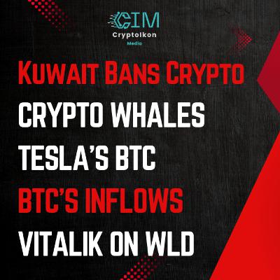 Kuwait Bans Crypto | Crypto Whales | Tesla’s BTC | Bitcoin’s Inflows | Vitalik on Worldcoin’s Tech