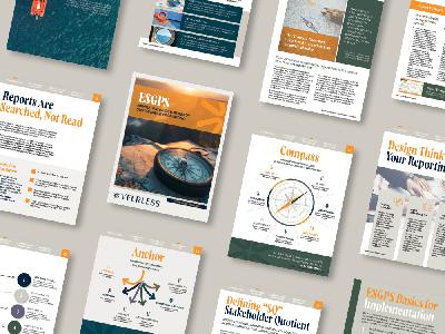 35. The Launch of ESGPS - A New Set of Frameworks to Optimize Sustainability Reporting