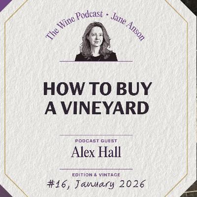 How to Buy a Vineyard - Jane Anson The Wine Podcast E 16