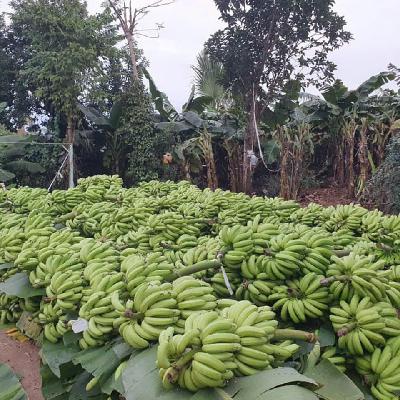 Doanh nghiệp lao đao khi thị trường Trung Đông 'đóng băng' Doanh nghiệp lao đao khi thị trường Trung Đông 'đóng băng'