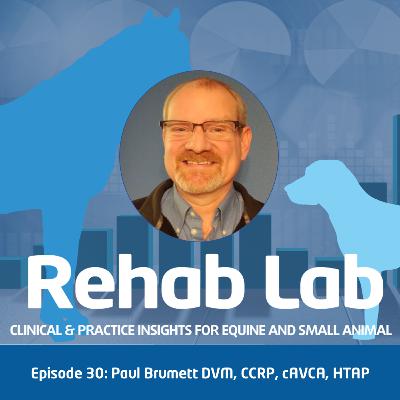 Episode 30: Dr. Brumett, DVM, CCRP, cAVCA, HTAP
