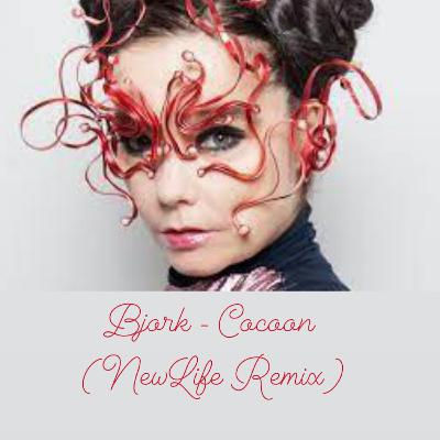 Bjork - Cocoon (NewLife Remix) SNIPPET Bjork - Cocoon (NewLife Remix) SNIPPET