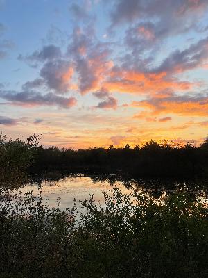 Pour From a Different Cup