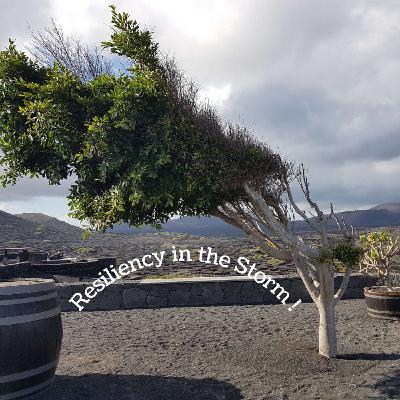 Developing Resiliency in the Storms of Your Life