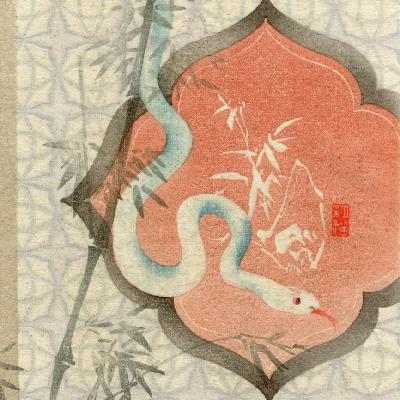 蛇年说蛇「以柔化刚 无畏重生」 蛇年说蛇「以柔化刚 无畏重生」